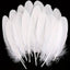 Plumas Blancas 15 cm aprox 100 g x Bolsa(500 unidades aprox) — Sartoria Studio